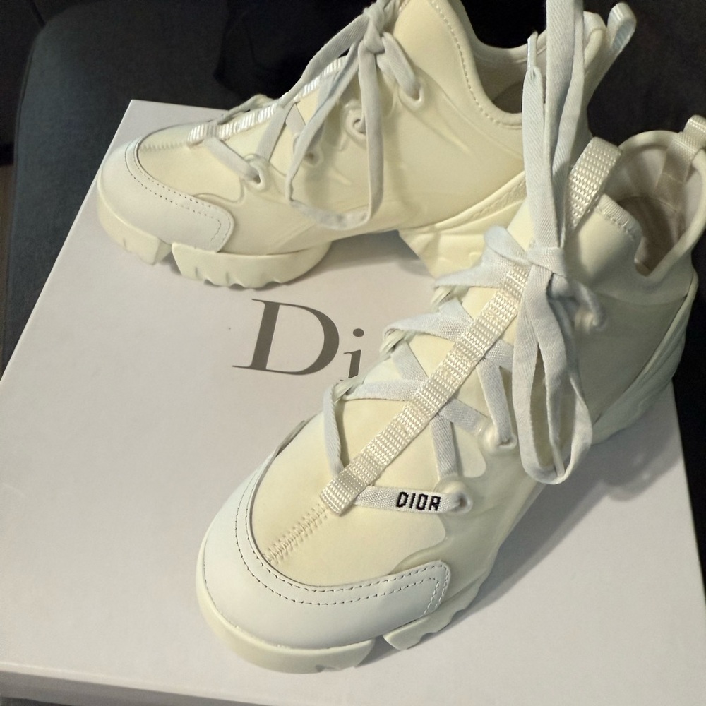 New Dior Sneaker